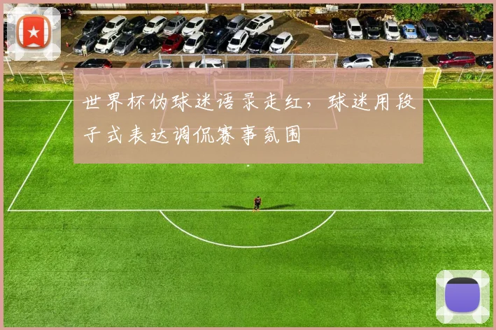 世界杯伪球迷语录走红,球迷用段子式表达调侃赛事氛围