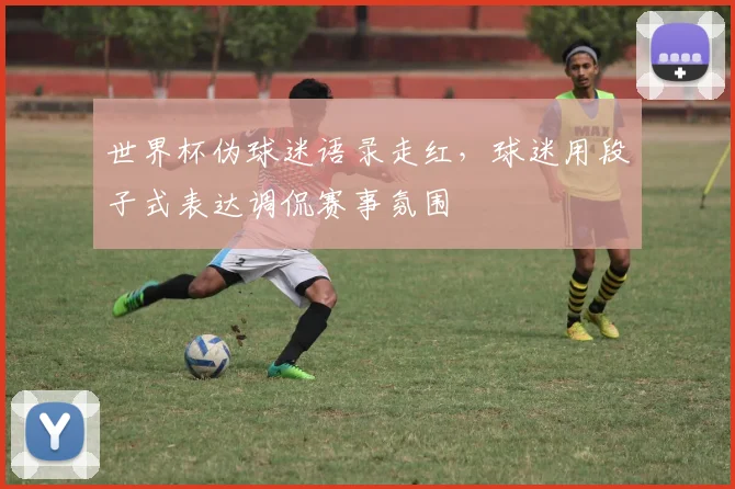 世界杯伪球迷语录走红,球迷用段子式表达调侃赛事氛围