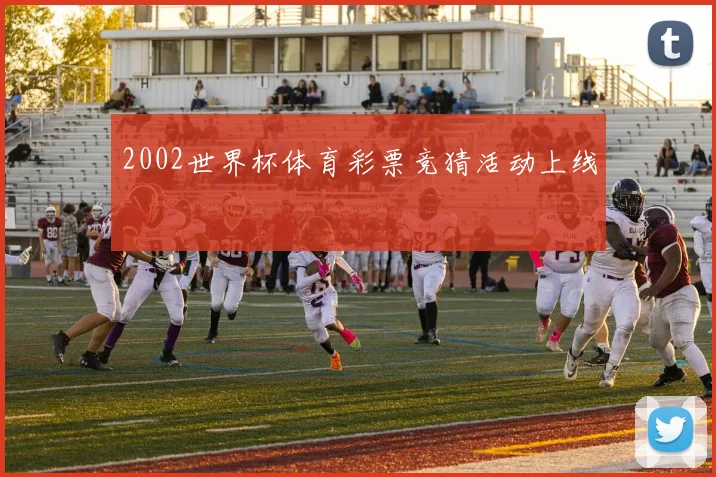 2002世界杯体育彩票竞猜活动上线